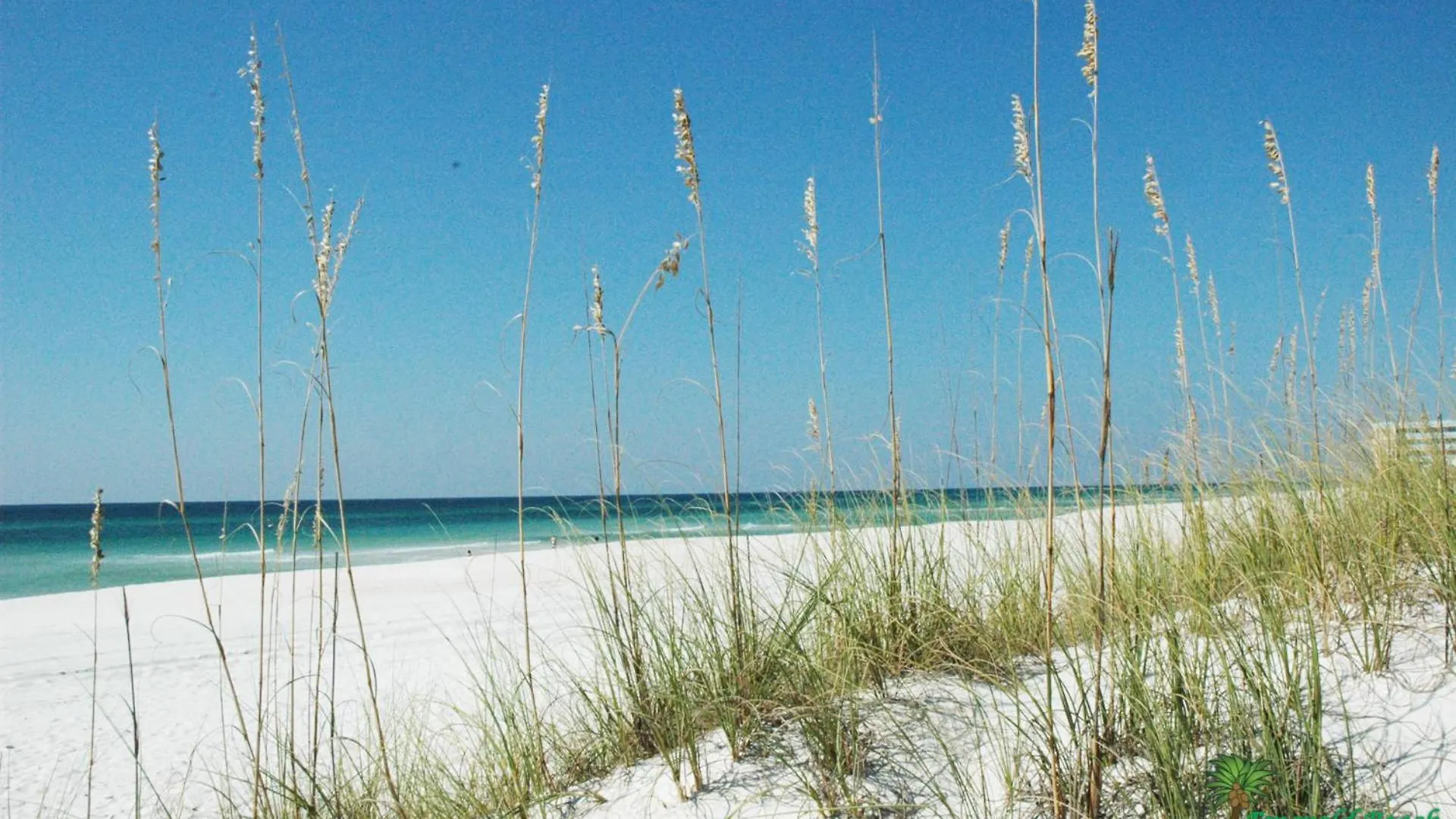 Sunbird 1104E 'Flamingo Palms' Villa Panama City Beach Holiday home